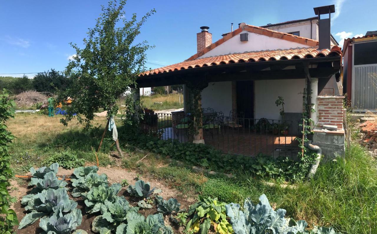 Casa De Pueblo Con Merendero Alquilable Opcionalmente Casarejos Luaran gambar